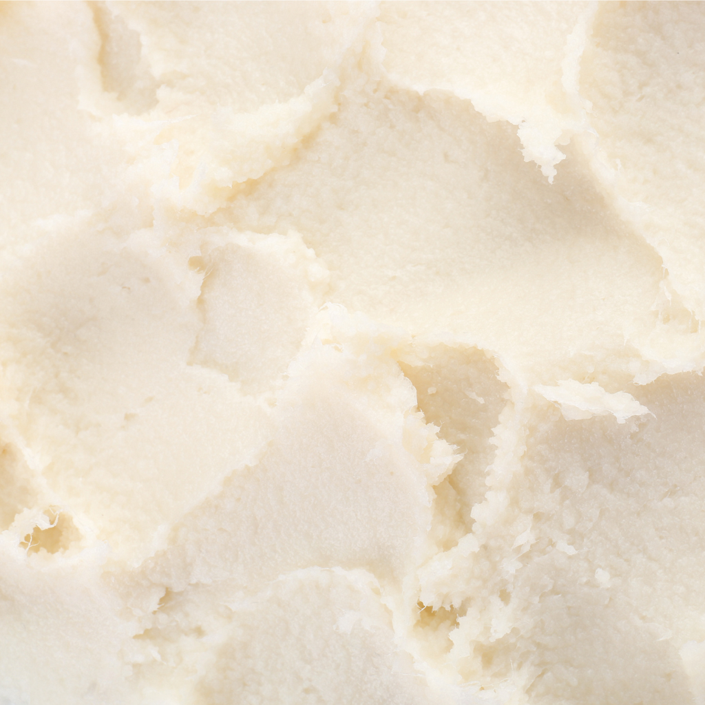 [Ingredient Spotlight] Shea Butter – A Skin Care Cure-All?